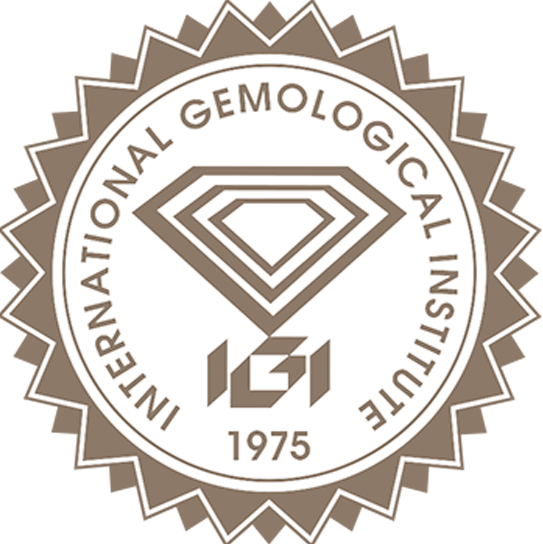 Logo IGI anversa